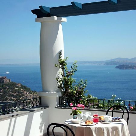 Bed and Breakfast La Pergola Del Torchio à Ischia Extérieur photo