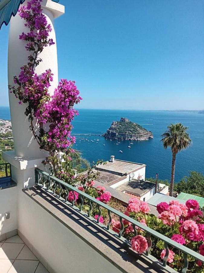 Bed and Breakfast La Pergola Del Torchio à Ischia Extérieur photo